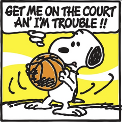 Collection image for: Basketball