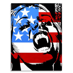 Collection image for: American USA Flag
