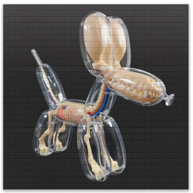 Balloon Dog Anatomy Model Blotter Paper Archival Print by Jason Freeny