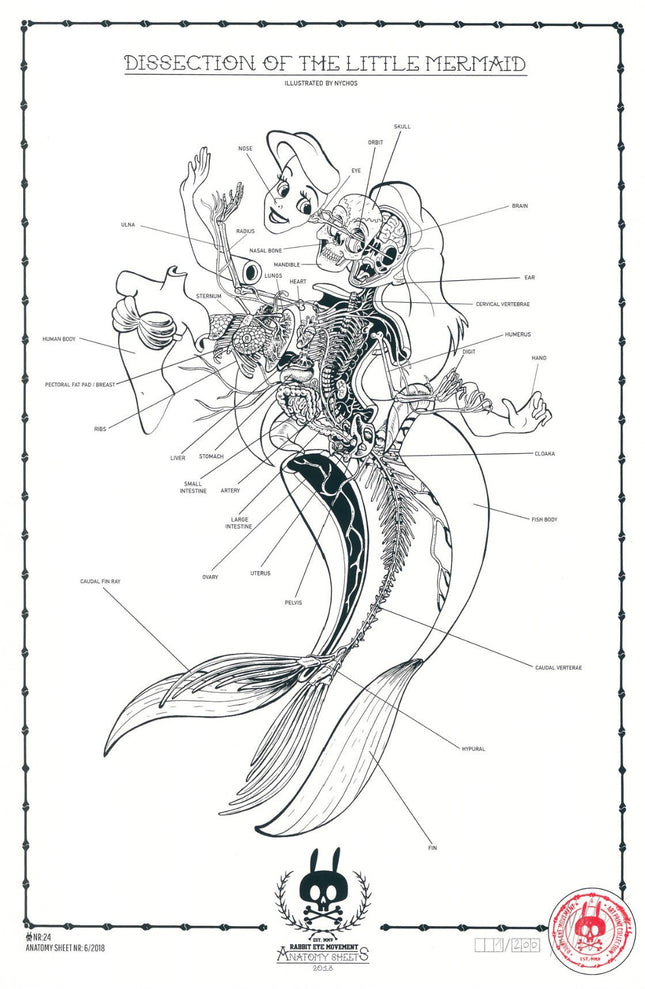Dissection of Little Mermaid Anatomy Sheet No 24 Silkscreen Print by Nychos