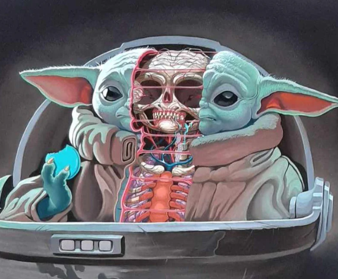 Dissecting the Graffiti Anatomical Artistry in the Urban Canvas