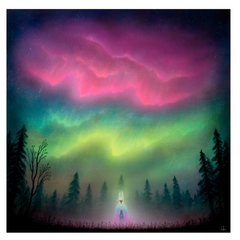 Collection image for: Andy Kehoe