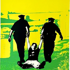 Cheryl Dunn> Pop Artist Graffiti Street Artworks