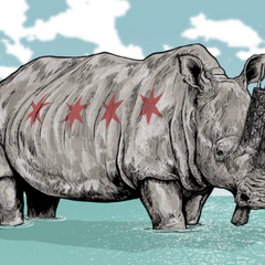 Rhino Graffiti Street Pop Artwork