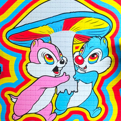 Chipmunk & Squirrel Graffiti Street Pop Art