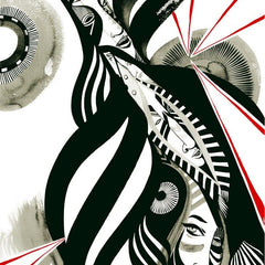 Collection image for: Lucy McLauchlan
