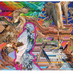 Vincent Langaard> Pop Artist Graffiti Street Artworks