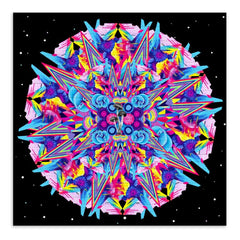 Collection image for: Vexta