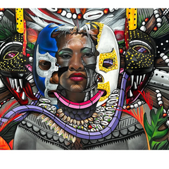 Collection image for: Don Rimx