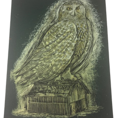 Dan Grzeca> Pop Artist Graffiti Street Artworks