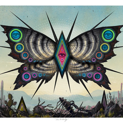 Butterfly Graffiti Street Pop Artwork