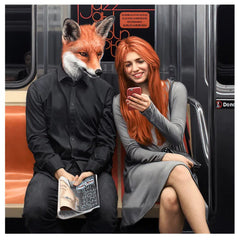 Collection image for: Fox