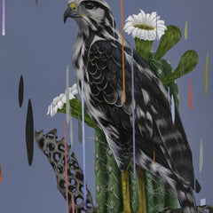 Hawk Graffiti Street Pop Art