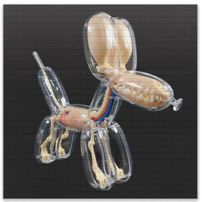 Balloon Dog Anatomy Model Blotter Paper Archival Print by Jason Freeny