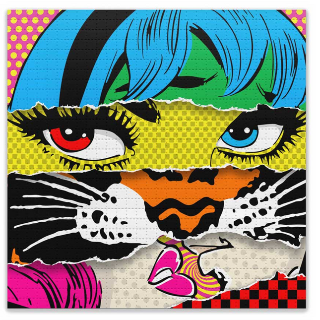 Cat Face Blotter Paper Archival Print by Denial- Daniel Bombardier