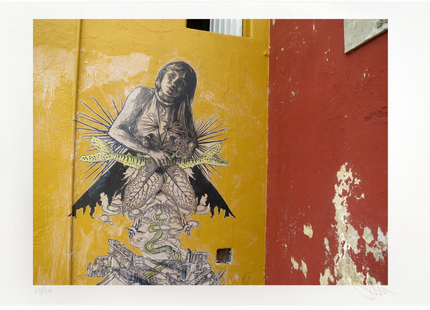 Kamayura Oaxaca 2013 Giclee Print by Swoon- Caledonia Curry