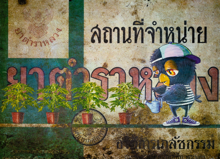 Panacea Silkscreen Print by MEUBON