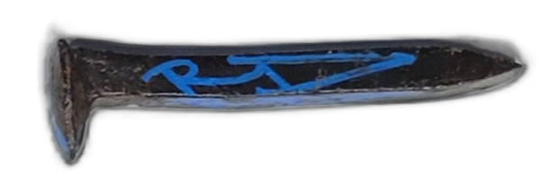 Railroad Spike Track Teeth Blue Object Art by RD-357 Real Deal