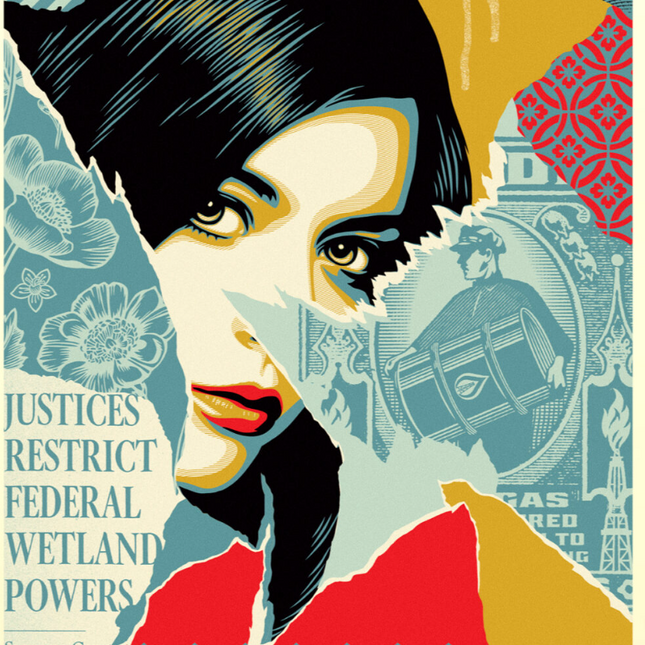 Wetland Powers Silkscreen Print by Shepard Fairey- OBEY