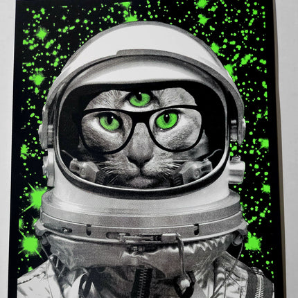 Astronaut Third Eye Cat Silkscreen Print by Nate Duval