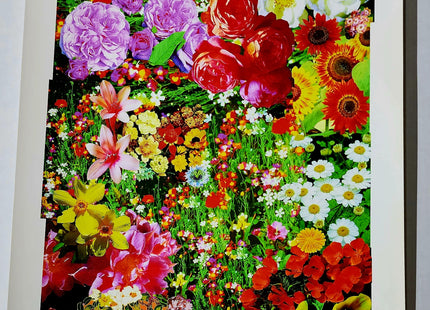 Flowers Giclee Print by Nate Duval