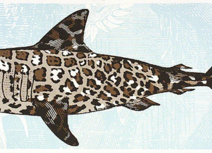 Jaguar Shark Glow GID Silkscreen Print by Nate Duval
