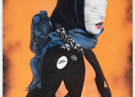 This Searing Light The Sun & Everything Else HPM Silkscreen Print by Dee Dee