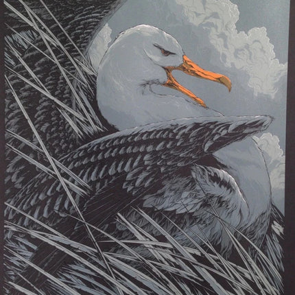Albatross Silver Silkscreen Print by Ken Taylor