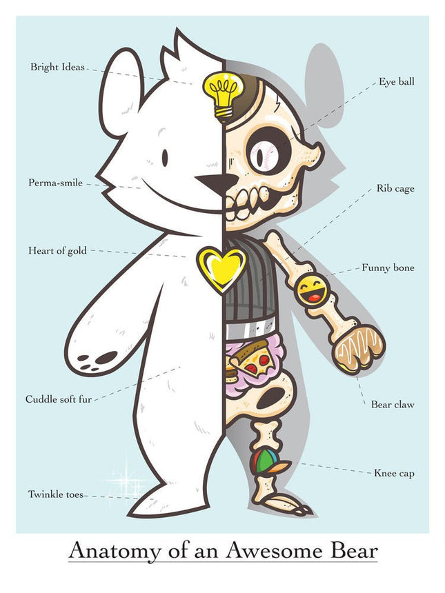 Anatomy of an Awesome Bear Giclee Print by Phil Lumbang