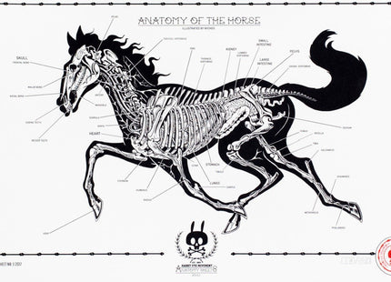 Anatomy of the Horse Sheet No 11 Silkscreen Print by Nychos