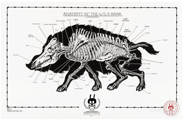 Anatomy of the Wild Boar Sheet No 15 Silkscreen Print by Nychos
