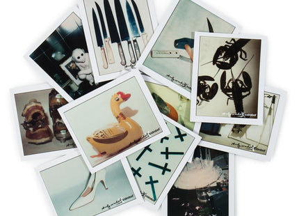Andy Warhol Polaroid Series 2 Photograph Art Object by Andy Warhol x Kidrobot