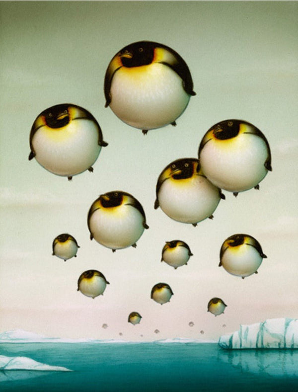 Balloon Penguin Giclee Print by Naoto Hattori