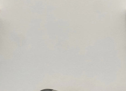 Bloom Archival Print by Victoria Cassinova