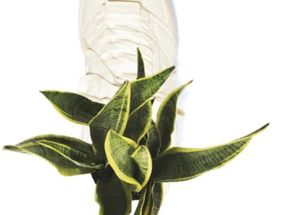 Bodega Rose Bape STA Planter Sculpture Art Object by Bape- A Bathing Ape