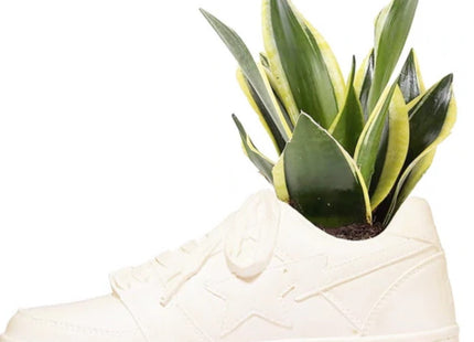 Bodega Rose Bape STA Planter Sculpture Art Object by Bape- A Bathing Ape