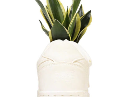 Bodega Rose Bape STA Planter Sculpture Art Object by Bape- A Bathing Ape