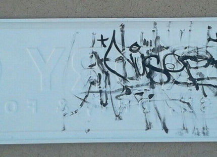 Brut Island Funk HTF Original Street Sign Painting by DrNuse89