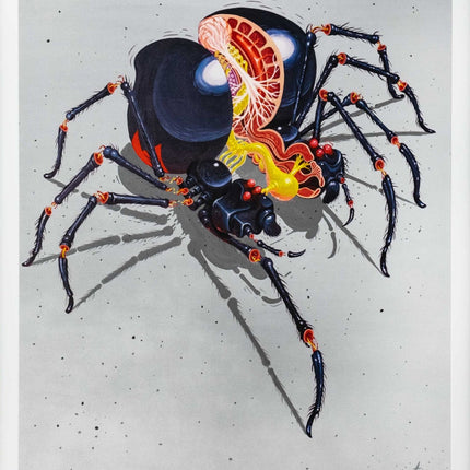Dissection Of A Black Widow Giclee Print by Nychos