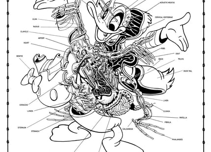 Dissection of Donald Duck Sheet No 26 Silkscreen Print by Nychos