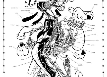 Dissection of Goofy Anatomy Sheet No 28 Silkscreen Print by Nychos