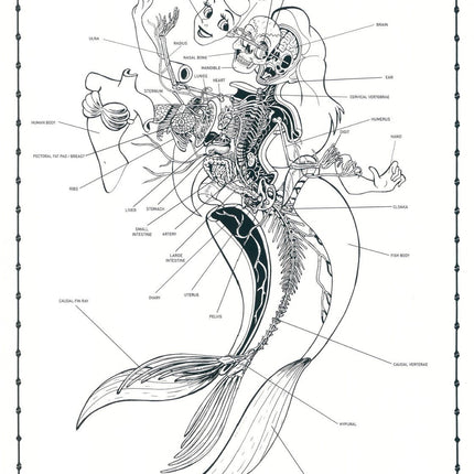 Dissection of Little Mermaid Anatomy Sheet No 24 Silkscreen Print by Nychos