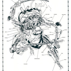 Dissection of Ninja Turtle Anatomy Sheet No 22 Silkscreen Print by Nychos