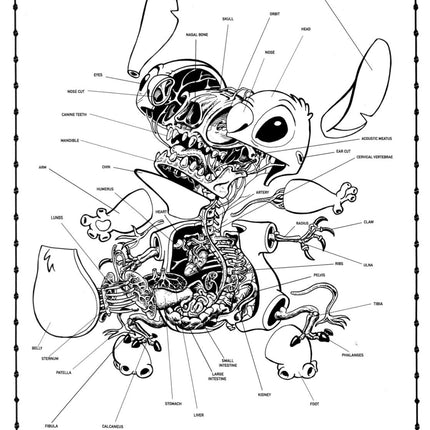 Dissection of Stitch Anatomy Sheet No 30 Silkscreen Print by Nychos