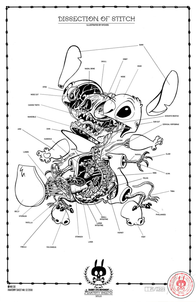 Dissection of Stitch Anatomy Sheet No 30 Silkscreen Print by Nychos