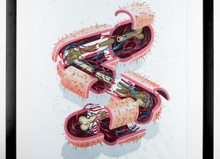 Dissection Of The Letter S Original Acrylic Painting by Nychos