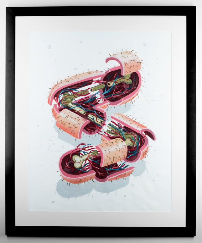 Dissection Of The Letter S Original Acrylic Painting by Nychos