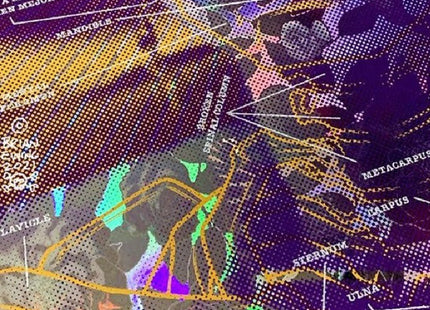 Frida Lakers Foil Silkscreen Print by Brian Ewing