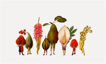 Harvest Pixies Giclee Print by Amy Ross