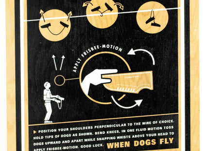 How To Toss Silkscreen Print by Skewville